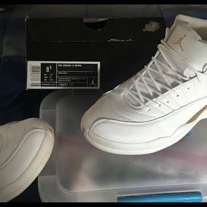 Jordan 12 OVO